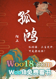 孤鸿小说txt